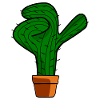 Dabbing Cactus Garden Cacti