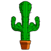 Bodybuilding Cactus Bodybuilder Cacti