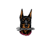 Doberman Papa Doberman Doberman Dogs