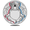Yoga Bulldog Dogs Yoga