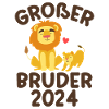 Großer Bruder 2024