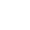 Crazy Horse Girl