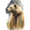Grizzly Bär Aquarell