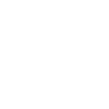 Violin Violinist Violinist