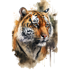 Tiger Aquarell
