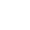 Violin Violinist Violinist