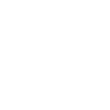 Violin Violinist Violinist