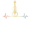 Violin Violinist Violinist