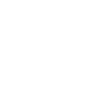 Violin Violinist Violinist