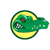 Crocodile head