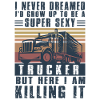 Lastwagenfahrer Spruch & Trucker