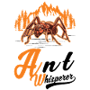 Ants Whisperer Anthill Ant Whisperer