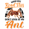 Ants Gift Anthill Fire Ant