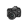 Tourist Crew