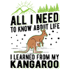 Kangaroo Australia Australian Kangaroo