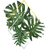 Monstera Gold & Silver