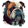 Bulldog Head Illustration
