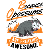 Because Opossums are freaking awesome