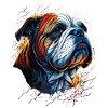 Bulldog Looking Up