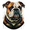 Bulldog Pet
