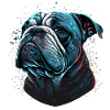 Thinking Bulldog