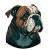 Adorable Bulldog