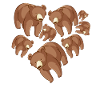 Herz Braunbär