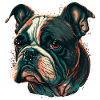 Frustrated Bulldog