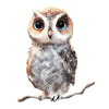 süße Eule - digital painting