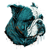 Bored Face Buldog