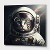 Chat astronaute