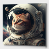 Chat astronaute