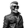 Skull with Jacket