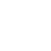 Vienna