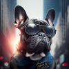 Bouledogue français « Policier »