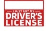 New driving licence