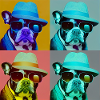 French Bulldog "Popart" Design