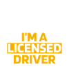 New driving licence
