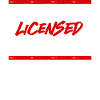 New driver's license
