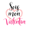 Message Sois mon valentin