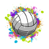 Volley-ball