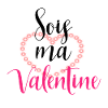 Message Sois ma valentine