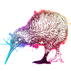 Kiwi Oiseau Nouvelle-Zélande