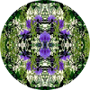 Nature Mandala Spring à Dennenlohe