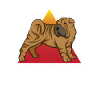 Chinese Shar Pei