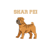 Chinese Shar Pei