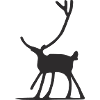 Deer Cool Reindeer Motif Silhouette
