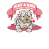 Chinese Shar Pei