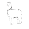 Lama, Llama Lover