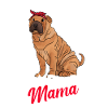 Shar Pei chinois